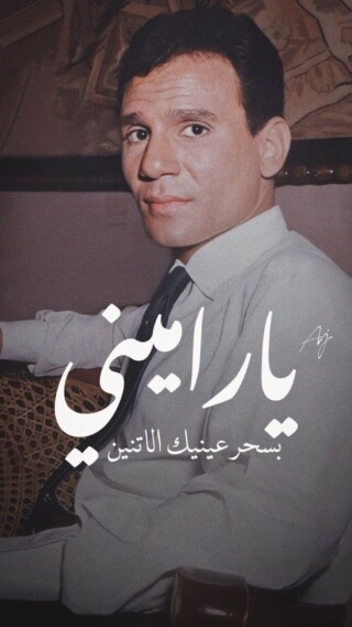 كذلك خلفيات المطرب عبدالحليم.