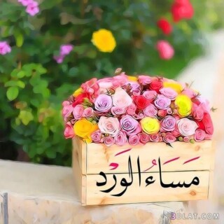 كذلك صور افتتاحيه للمساء.